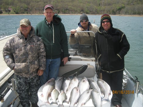 Nice Striped Bass